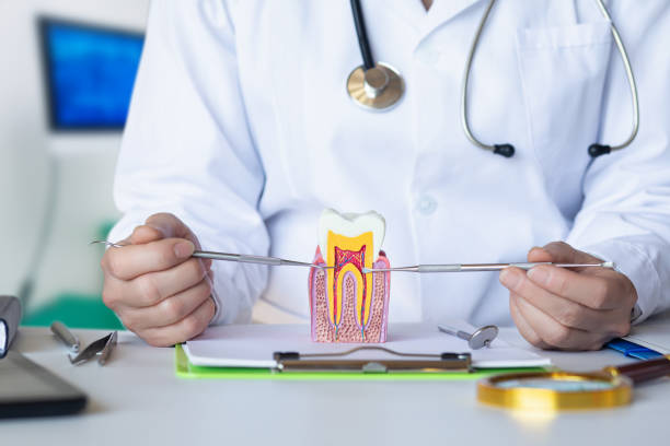 Best Emergency Dental Care for Broken or Chipped Teeth in Newton, AL